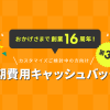 【16周年記念第3弾】カスタマイズプランの初期費用が最大20万円キャッシュバックされるキャンペーン開催